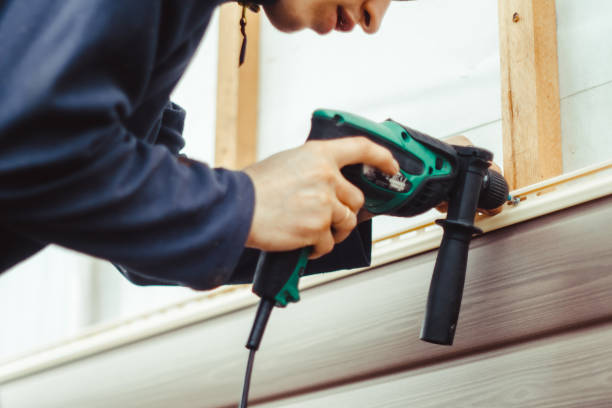 Best Vinyl Siding Installation  in Lowell, MI